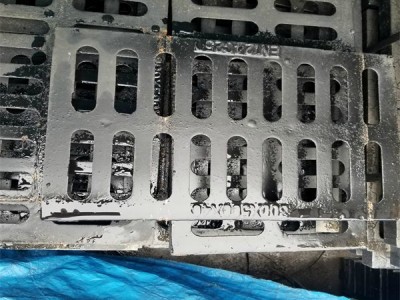 樹圍子球墨鑄鐵雨水篦子